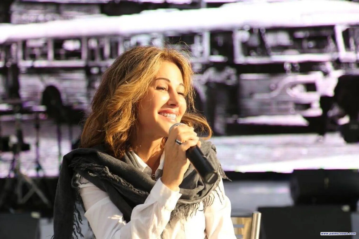 الفنانة اللبنانية باسكال صقر: أهتم بشؤون المواطن أكثر من الفن